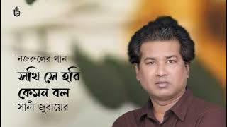 Shokhi se hori kemon bol সখি, সে হরি কেমন বল্‌  |  Swani Zubayeer  |  Nazrul Sangeet