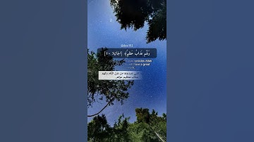 سورة الجاثية أحمد خضر حالات واتس