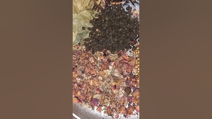 بهارات مشكله 👌خطييره الطريقه بأول تعليق