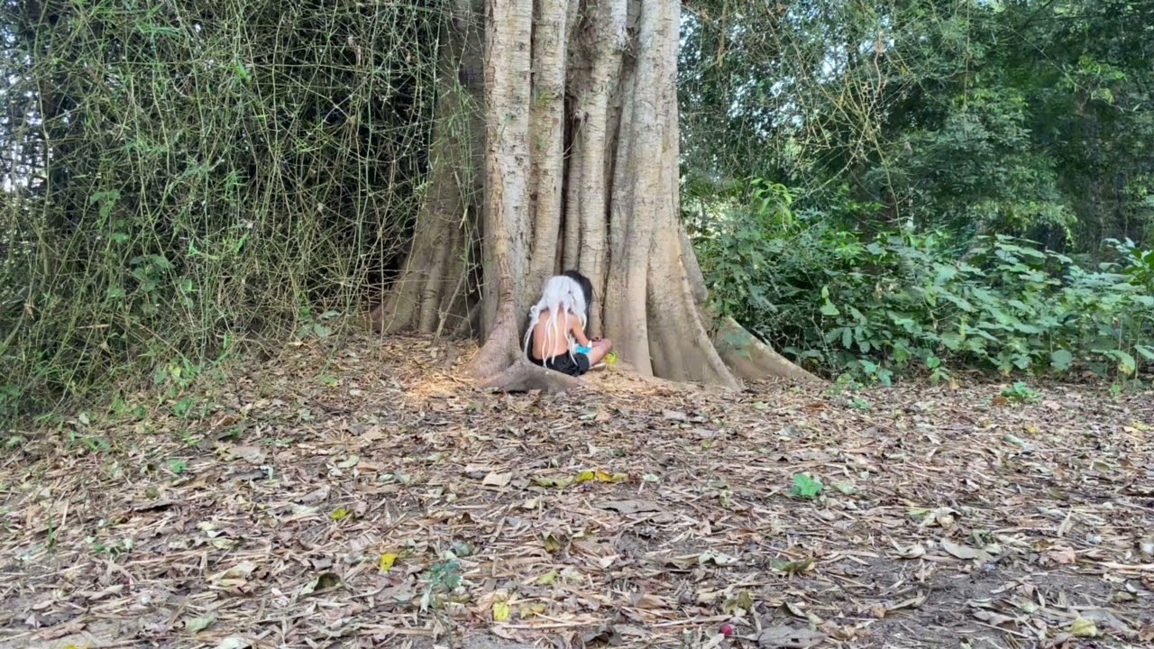 พาน้องวานรไปหาเด็กสาวปริศนาในต้นไม้ใหญ่