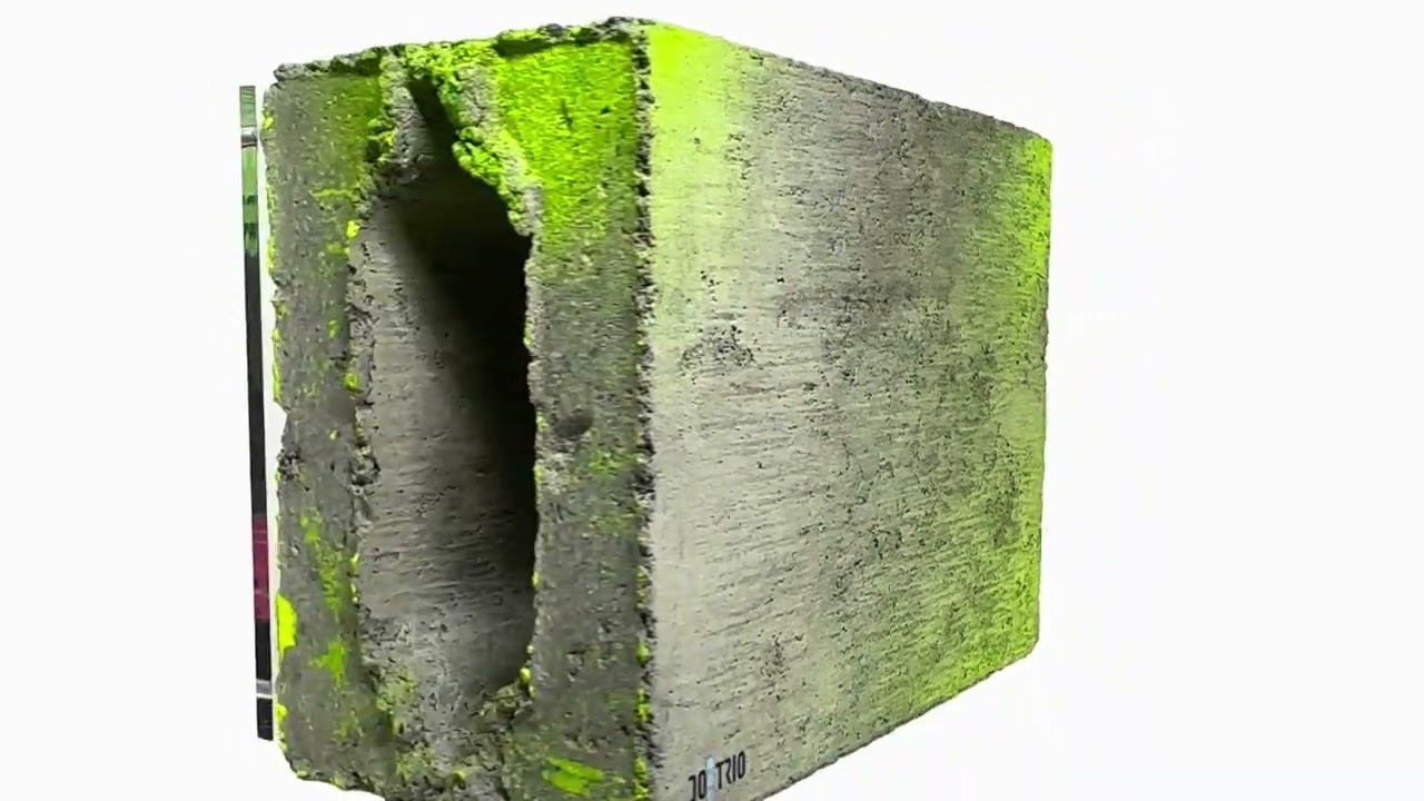 Dotrio - Wall Graffiti Mona