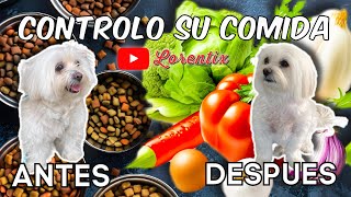 🐾Mantener en peso ideal al Perro, errores, aciertos, control de su porcion, ayuno, dieta I LORENTIX by Lorentix Channel 614 views 11 days ago 5 minutes, 2 seconds