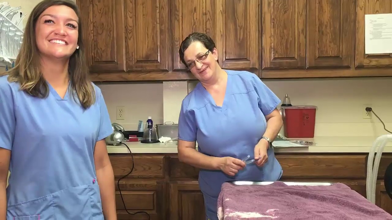 Pet Doctor Rockwall, TX YouTube