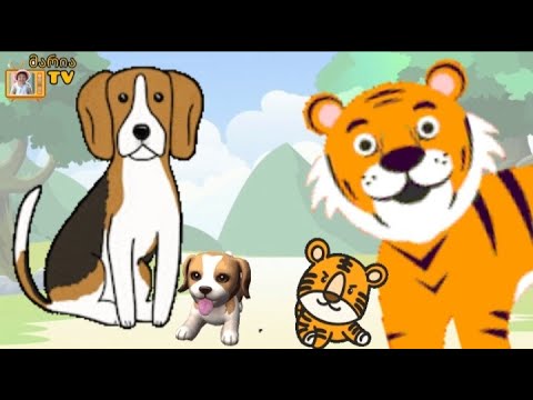 რა ჰქვიათ ცხოველების შვილებს, სასწავლო  ვიდეო პატარებისთვის