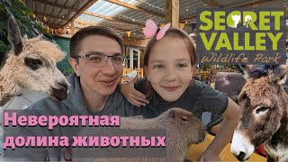 🦙 Невероятная долина животных 🐾 Наш весёлый день в Secret Valley Wildlife Park.