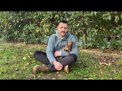 Video: Köpeğim İçin Pound Başına Ne Kadar Besin Veririm?