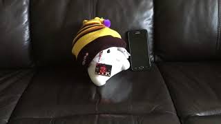 micro:bit Elderly Fall Detection