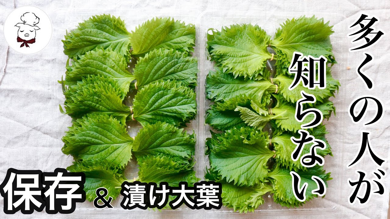 これは便利 大葉大量消費 すぐに食べれる病みつき大葉の作り方 洗い方 保存方法まで ご飯のお供に しそレシピ 料理教室の先生が教える料理の基本 ごはん泥棒 漬け大葉 料理研究家 料理教室の先生 Youtube