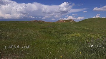 أجمل تلاوة من سورة #هود بصوت القارئ زكريا القادري