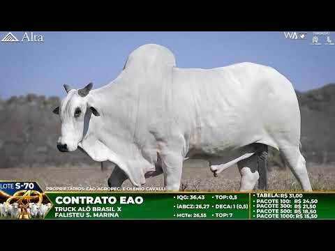 LOTE S70   CONTRATO DA EAO   EAO B 2752