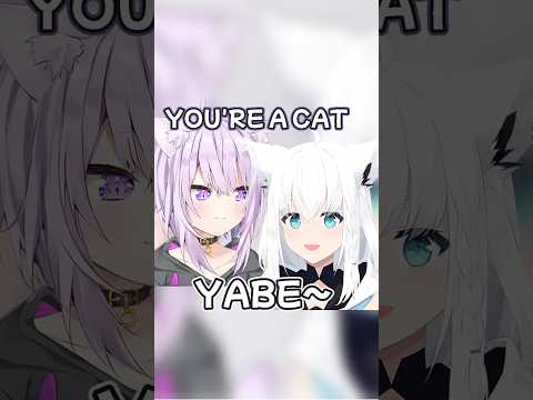 Okayu caught Fubuki acting like a cat!【Hololive】#shirakamifubuki #nekomataokayu #hololive #shorts