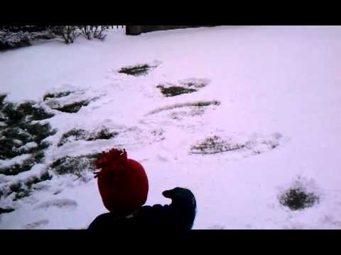 Toren playing in the snow - 3