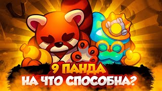 RUSH ROYALE 23.3 | ЧТО ДЕЛАТЬ С 9 ПАНДОЙ ?