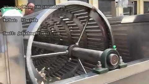 automatic garlic clove sorting machine