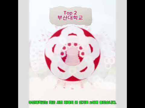 2026 대학 서열 top5 #수능 #대학생 #서울 #홍대 #재수 #보넥도 #아이돌