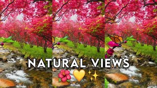 Beautiful Place 💚🌱 | Natural video | Instagram natural reels | Scenery video | visueltreat #short