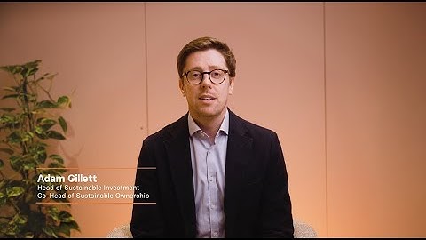 Our 2024 sustainability and governance themes: The climate transition