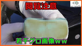 ボディに付着した鉄粉を放置し続けるとこうなる　~If You Leave Iron Powder on Car Paint...~