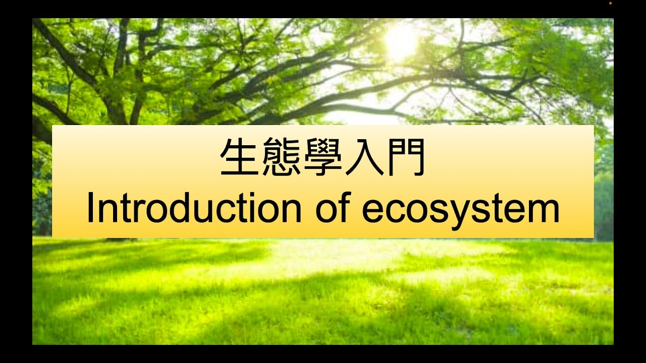 [HKDSE Biology] 生態學入門 Introduction of ecosystem｜生態系組織層次？基本特徵？ - YouTube