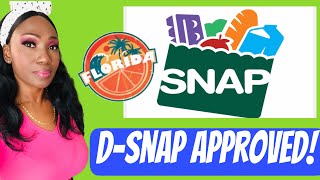Florida DSNAP | How to apply for Florida Disaster SNAP Assistance Benefits | Hurricane Ian relief