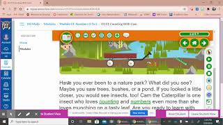 Math FLVS Lesson Overview!
