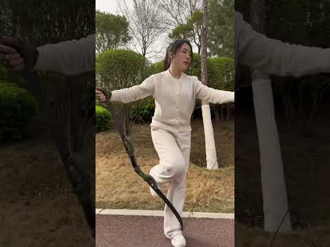 Do You Like This Hunting Recurve Bow Archery Outdoors Hunting Arrow Deer Bowhunting Tools Fyp