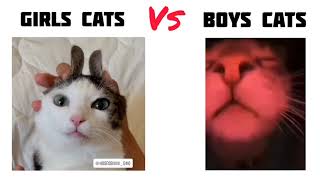 Girls Cats Vs Boys by Meow? Woof! 2,795 views 2 years ago 32 seconds