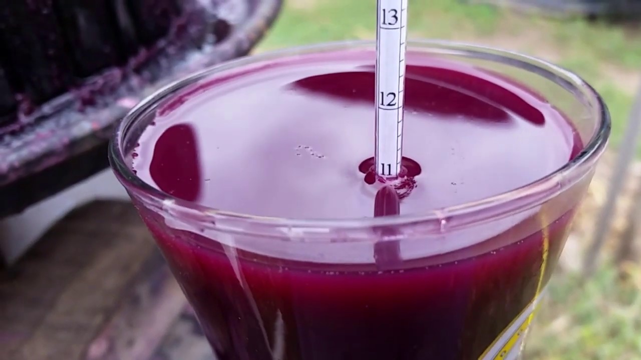 2018-as szüret,borkészítés 2.rész S02E44