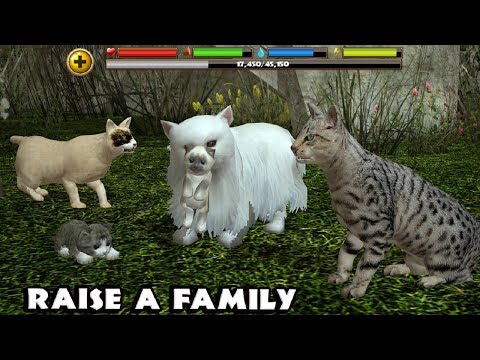 stray-cat-simulator--raise-a-family--android/ios---gameplay