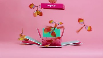 Butterfly Cake Explosion Gift Box - CakeRush