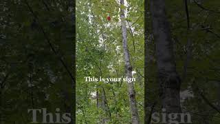 Famous Try These 5 TIPS for Your Fall Skincare Routine! Net Worth