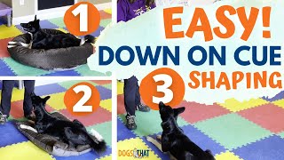 Teach Your Dog To Down On Cue: Easy Shaping With A Bed