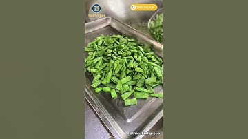 Video sử dụng bếp từ công nghiệp chảo liền tại các khu bếp công nghiệp