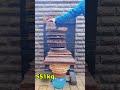 Bir Cam Akvaryum En Fazla Kaç Kilo Taşır?