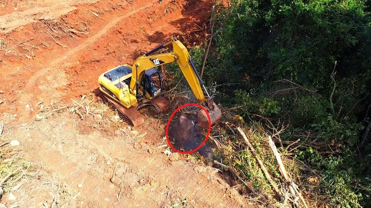 Excavator Split The Hill Into Terraces, Excavator CAT 320D Making Palm Oil Plantation