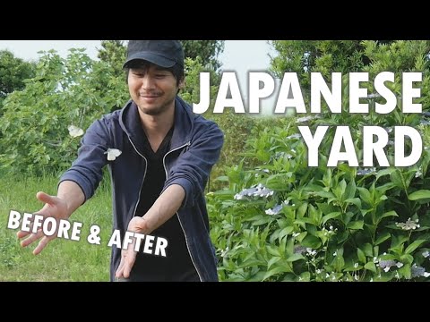 6 months progress on our Japanese yard!