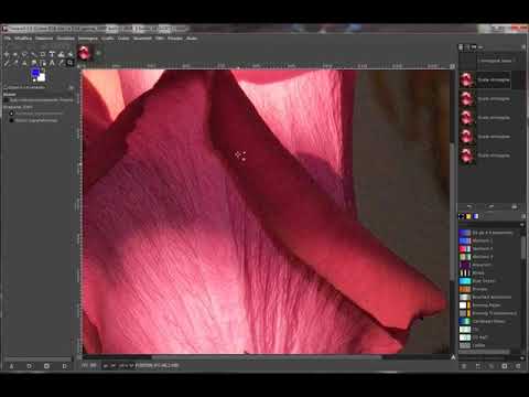 Video: Ridurre il Motion Blur usando GIMP: 6 passaggi Video: Ridurre il Motion Blur usando GIMP: 6 passaggi