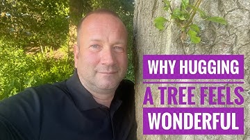 Why Hugging A Tree Feels Wonderful
