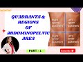 QUADRANTS OF ABDOMINOPELVIC AREA - Quadrants &amp; Regions Of Abdominal Area [Part -1]