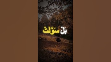 محمد عمران | سورة يوسف آية 18