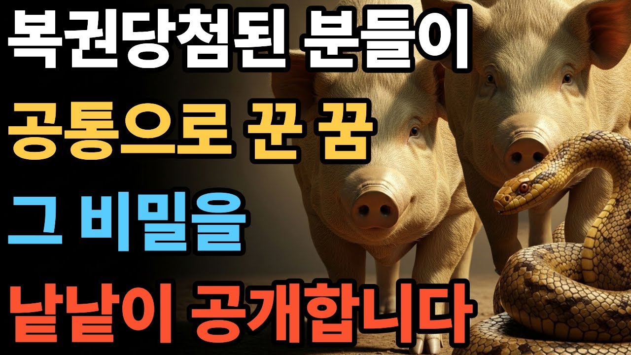 돈 들어오는 꿈은 따로 있다. 그 비밀을 공개합니다. 실제 사례 #복권 #길몽 #황금돼지꿈 #구렁이꿈 #조상꿈 #복권당첨 #꿈해몽 #행운 #로또당첨