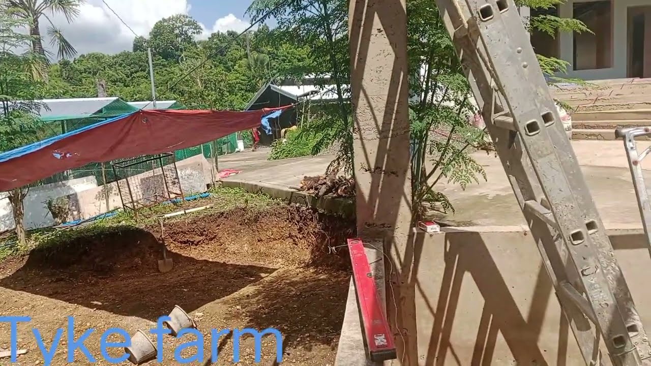 Septic Tank Ventilation and Seepage Dynamics