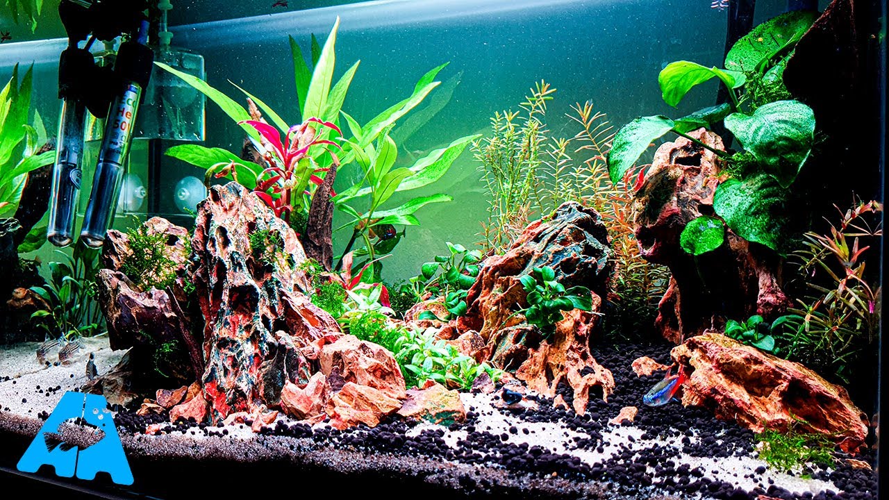 15 Gallon Dragonstone Aquascape Step By Step Build Low Maintenance Setup YouTube