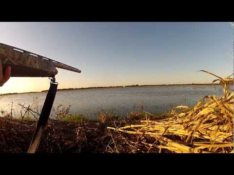 Check out the video from this year 2012-2013 Season- "The Migration Stops Now" http://www.youtube.com/watch?v=ohNDVBEqp2o&hd=1 D. Ferg Outdoors Presents Texa...