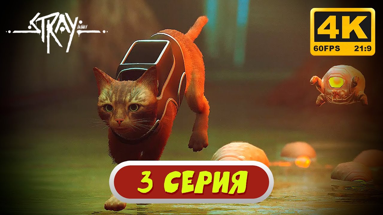 Stray #3:  ПОБЕГ - Прохождение БЕЗ КОММЕНТАРИЕВ | 