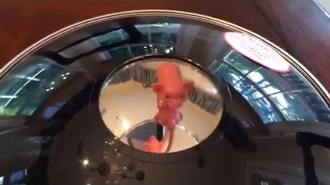 Mirascope demonstration