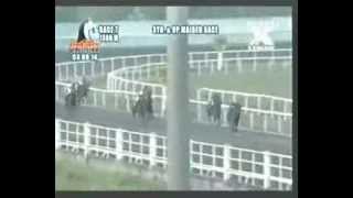 PRCI 030914 R07 4 ROYAL REIGN (A)