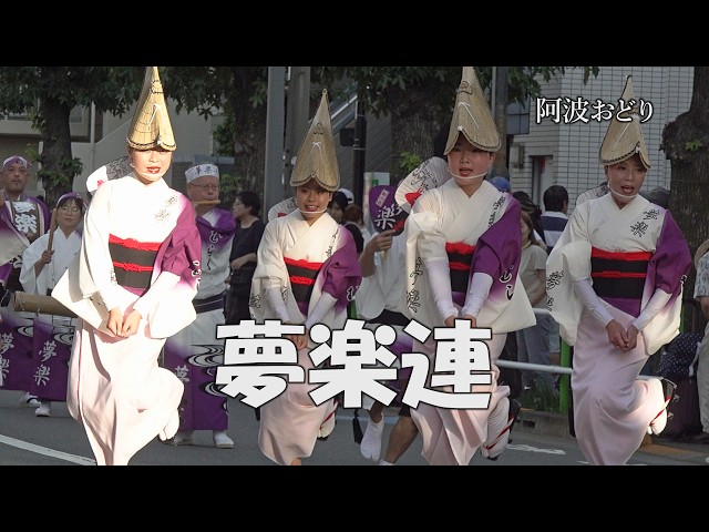 阿波踊り 楽踊美人三点セット 阿波踊り 楽踊美人三点セット 足元から