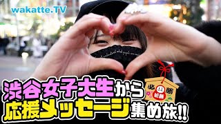 渋谷美人女子大生から応援メッセージ！！【wakatte.TV】#488