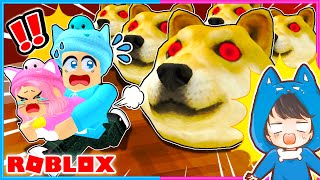 7匹の子猫を助けるロブロックス?【 ROBLOX / ロブロックス 】